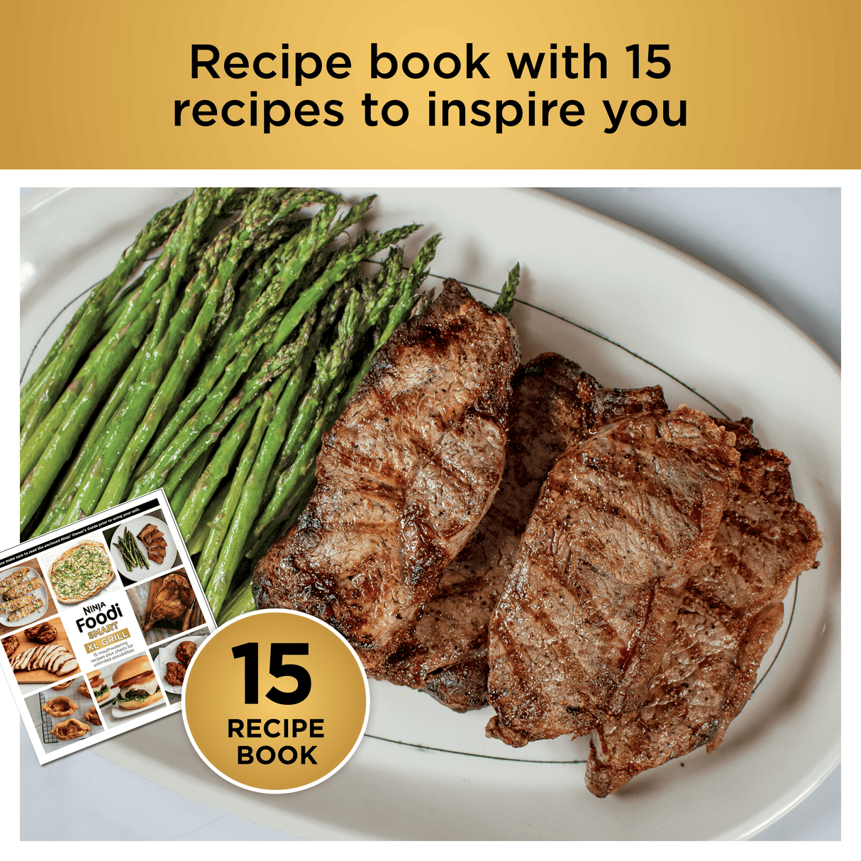 Ninja Foodi Smart XL Grill & Air Fryer