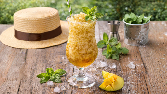 https://sharkninja.com.ph/blogs/recipes/mint-derby-slush